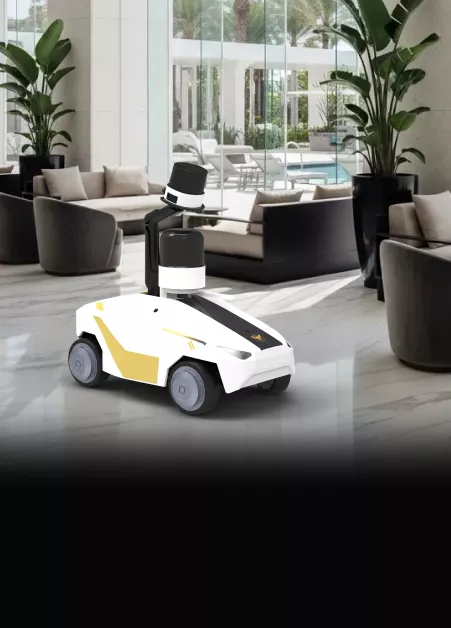 continuous security patrol