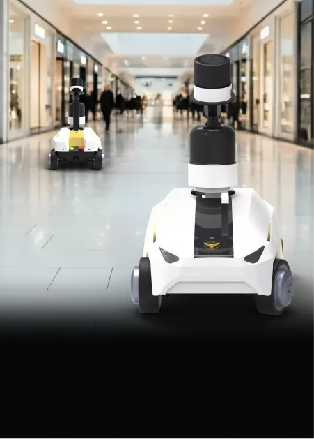 mall-wide patrolling